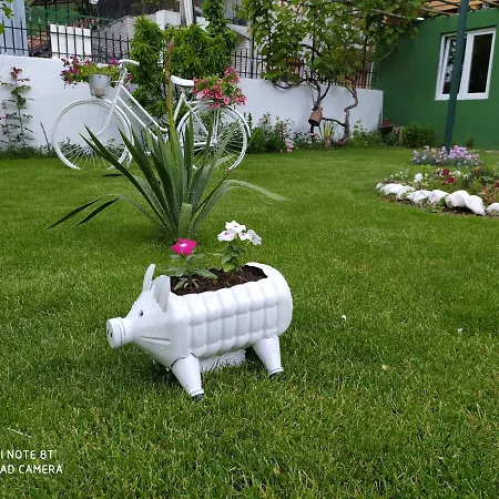 Casa de hóspedes Banjica Pirot