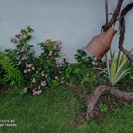 Casa de hóspedes Banjica Pirot